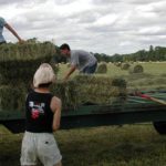 emilia romagna ricambio agricolo