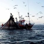 calendario fermo pesca 2018